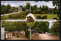 D2965 - Oberwinkel Waldenburg Gasthof Gaststätte Tiergarten Tierpark - Verlag Hohenstein Ernstthal - Waldenburg (Sachsen)