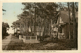 Quimiac * Mesquer * Le Bois De Lanséria * Une Avenue Et Les Villas Dans Les Pins - Mesquer Quimiac