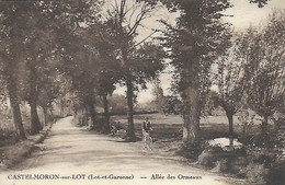 46)  CASTELMORON   Sur  LOT  -  Allées Des Ormeaux - Castelmoron