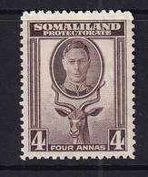 Somaliland Protectorate: 1942   KGVI (full Face)    SG109     4a     MH - Somaliland (Protectorate ...-1959)