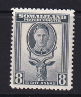 Somaliland Protectorate: 1942   KGVI (full Face)    SG111     8a     MH - Somaliland (Protectorate ...-1959)