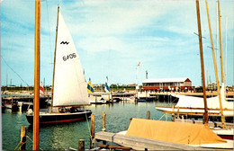 Delaware Dewey Beach Setting Out Under Full Sail - Andere & Zonder Classificatie