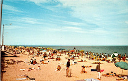 Delaware Rehoboth Beach Greetings With Beach Scene - Andere & Zonder Classificatie