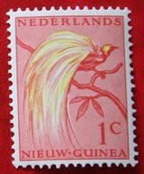 1 CtParadijsvogels Birds Vogel  NVPH 25 1954 POSTFRIS MNH NIEUW GUINEA NIEDERLANDISCH NEUGUINEA / NETHERLANDS NEW GUINEA - Nouvelle Guinée Néerlandaise