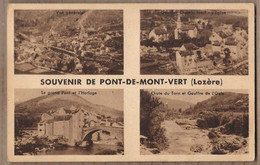 CPA 48 - PONT DE MONTVERT - SOUVENIR DE - TB CP Multivue Dont Vues Générales , Cours D'eau , Pont , Etc.. - Le Pont De Montvert