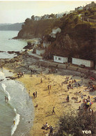 22 - Plérin - Saint Laurent - La Plage De L'anse Aux Moines - Plérin / Saint-Laurent-de-la-Mer