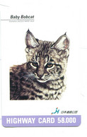 Titre De Transport Highway Card  :  Bébé Lynx - Illustration Jacquie Marie Vaux - Mundo