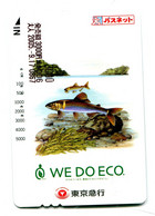 Titre De Transport WE.DO.ECO (pour Un Monde Meilleur) : Poisson - Welt