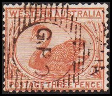 1871. Western Australia. THREE PENCE. Swan.  (Michel 21) - JF512305 - Gebruikt