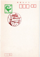 55465 - Japan - 1989 - ¥40 GA-Kte. M. Landschaftsstpl. HIMEJI-SHIYAKUSHOMAE - Kraanvogels En Kraanvogelachtigen