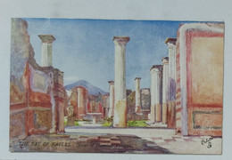 21072 Cartolina Illustrata - Napoli - Pompei - Pompei