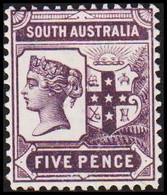 1894-1906. SOUTH AUSTRALIA.  FIVE PENCE VICTORIA. Hinged.. (MICHEL 77) - JF512434 - Mint Stamps