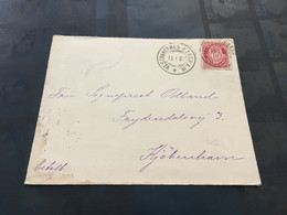 (5 D 9) VERY OLD (cover Posted To Denmark) Norway - Norvège - Norge - 1901 - Lettres & Documents