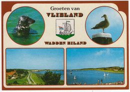 Groeten Van Vlieland - Wadden Eiland - (Wadden, Nederland/Holland) - Nr.  VLD 72 - Vlieland