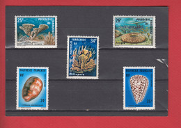 (JM38)  Océanie Polynésie Tahiti Coquillage Récif Coralien - Collections, Lots & Series