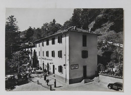 26697 Cartolina - Arezzo - Camaldoli - Albergo Ristorante "Camaldoli" - Arezzo