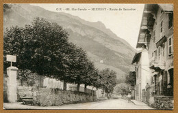 MIEUSSY  (74) : " ROUTE DE SAMOËNS " - Mieussy