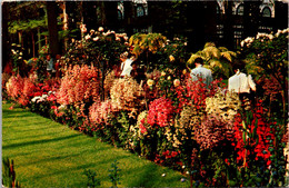 Delaware Wilmington Longwood Gardens Flowers In Conservatory - Wilmington