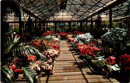 Delaware Wilmington Longwood Gardens The Azalea House - Wilmington