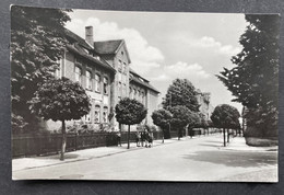 Falkenberg/Elster Zentralschule Mit Friedrichstrasse - Falkenberg