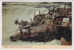 AK 018685 USA - Oregon - Indians Netting Fish On The Columbia River - Altri & Non Classificati