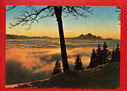 SUISSE . SCHWEIZ . RIGI . SONNENUNTERGANG ÜBER DEM NEBELMEER - Ref. N°32365 - - Elm