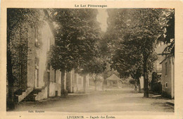 Livernon * Rue Et Façade Des écoles Du Village - Livernon