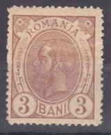 Romania 1893 Mi#101 Mint Hinged - Neufs