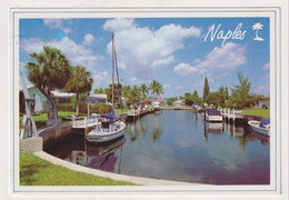 AK 019011 USA - Florida - Naples - Naples