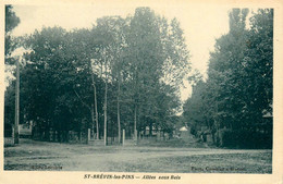 St Brévin Les Pins * Allées En Sous Bois * Chemin - Saint-Brevin-les-Pins