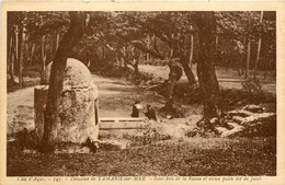 Tamaris Sur Mer * Le Sous Bois De La Rouve Et Le Vieux Puits , Dit De Jacob - Tamaris