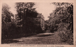 13 / MARSEILLE / BOIS FLEURI / SAINT TRONC / L ALLEE NOTRE DAME - Saint Marcel, La Barasse, St Menet