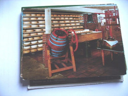 Nederland Holland Pays Bas Maarsbergen Met Kaasmakerij De Weistaar - Maarsbergen