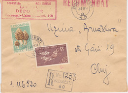 MUSHROOMS, STAMPS, STAMPS ON REGISTERED COVER, 1959, ROMANIA - Covers & Documents