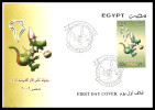Egypt - 2006 - FDC - ( 25th Africa Cup Of Nations Soccer Tournament ) - Coupe D'Afrique Des Nations