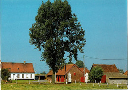 Deerlijk Hoeve Oudenaardse Heerweg - Deerlijk