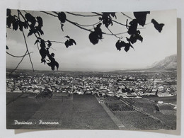 48843 Cartolina - Palermo - Partinico - Panorama - Palermo