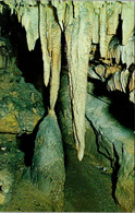 Tennessee Chattanooga Lookout Mountain Caverns Scene From The Onyx Jungle - Chattanooga