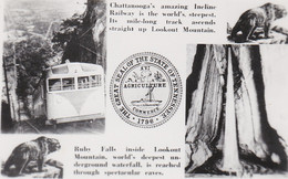 Tennessee Great Seal And Lookout Mountain Incline Railway And Ruby Falls Real Photo - Chattanooga