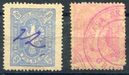 POZNAN (Posen) 1920 Perf.11.5 - Two Rare Stamps - Fiscale Zegels