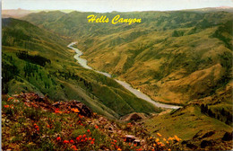 Idaho Hells Canyon Of The Snake River - Otros & Sin Clasificación