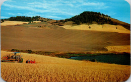 Idaho Beautiful Wheat Lands Of Palouse - Autres & Non Classés