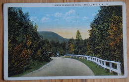 Catskill Mts. N. Y. - Scene On Mohican Trail - Colorisée - (n°21961) - Catskills