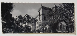 50409 Cartolina Fuori Formato - Palermo - Villa Igea - Catania