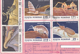 CAVE WILDLIFE STAMPS, INTERNATIONAL LETTER RECEIPT CONFIRMATION, 1994, ROMANIA - Cartas & Documentos