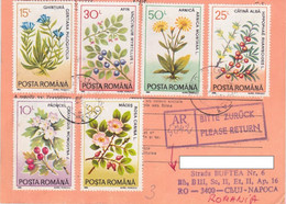 FLOWERS, FRUITS STAMPS, INTERNATIONAL LETTER RECEIPT CONFIRMATION, 1994, ROMANIA - Cartas & Documentos