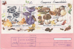 MUSHROOMS STAMP SHEET, INTERNATIONAL LETTER RECEIPT CONFIRMATION, 1994, ROMANIA - Cartas & Documentos