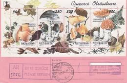 MUSHROOMS STAMP SHEET, INTERNATIONAL LETTER RECEIPT CONFIRMATION, 1994, ROMANIA - Cartas & Documentos