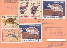 DINOSAUR, MONGOOSE, BIRD, CAVE WILDLIFE STAMPS, INTERNATIONAL LETTER RECEIPT CONFIRMATION, 1995, ROMANIA - Cartas & Documentos