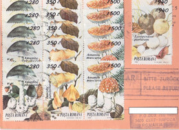 MUSHROOMS STAMPS, INTERNATIONAL LETTER RECEIPT CONFIRMATION, 1995, ROMANIA - Cartas & Documentos